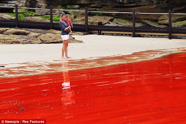 Woman holding a child on a white sand shoreline looking at blood red water