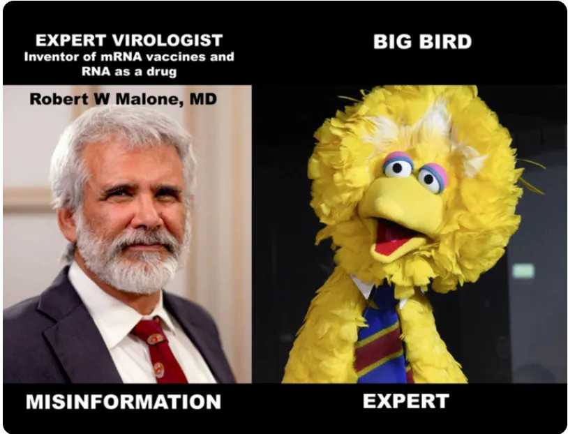 Meme with the expert virologist Robert W Malone, MD with the label MISINFORMATION and Sesame Street's Big Bird with the label EXPERT