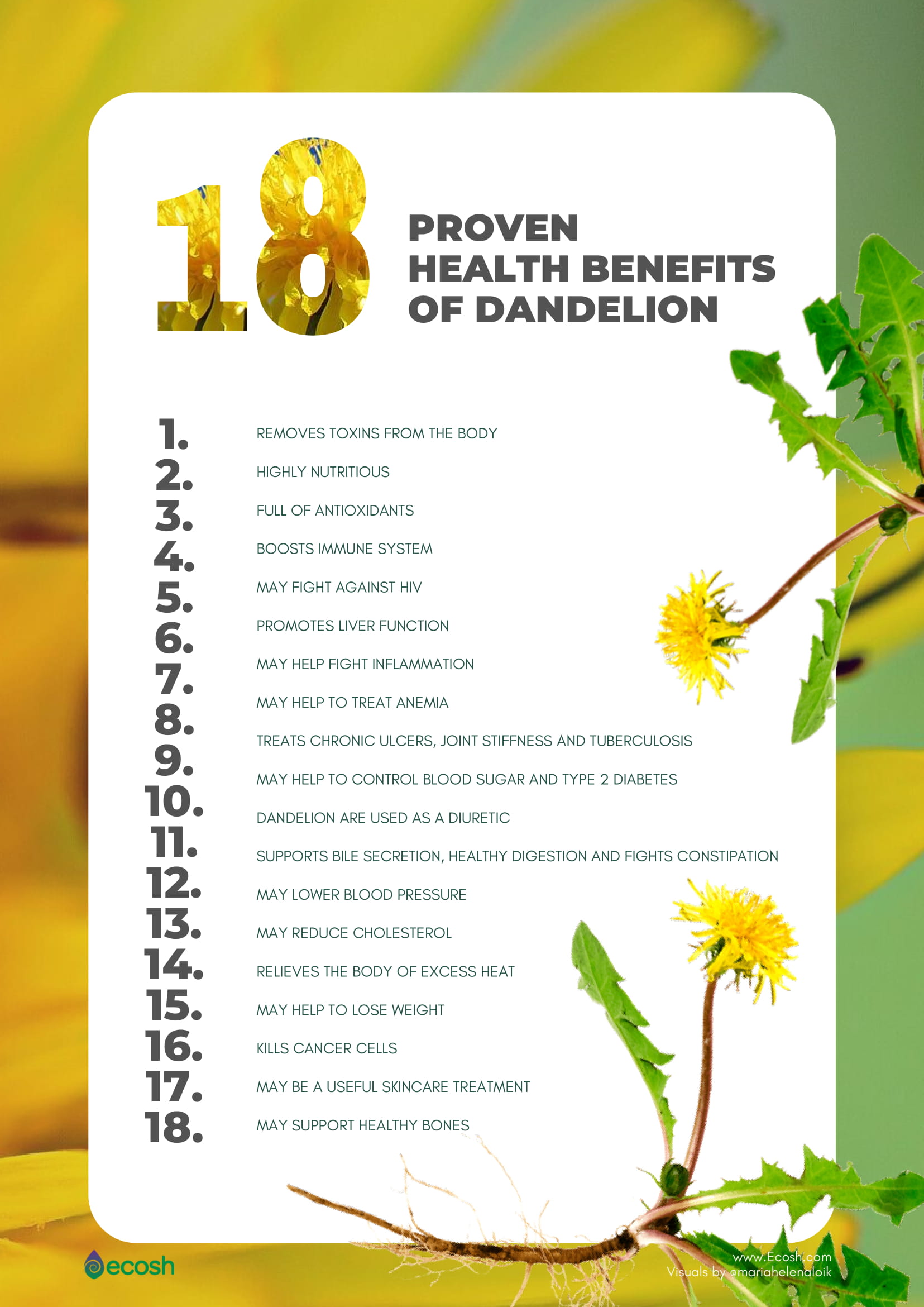 18 Proven Health Benefits of Dandelion