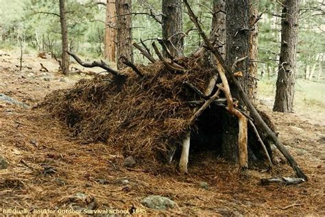 Survival shelter in the woods