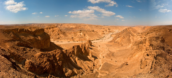 Idumea Landscape
