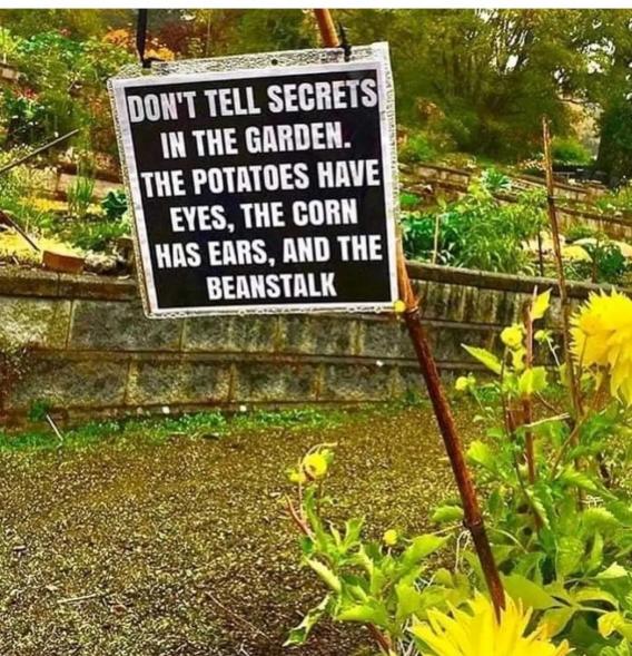 Meme about gardening.