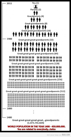 Chart showing a family tree going back over 600 years.