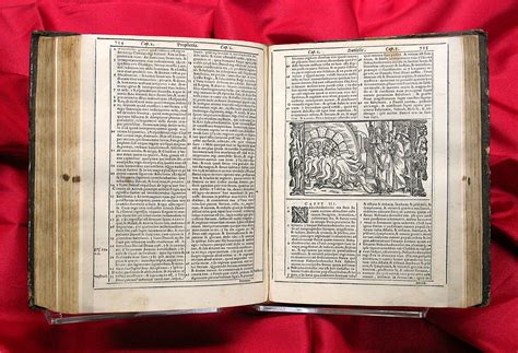 The Latin Vulgate open on a red cloth background.